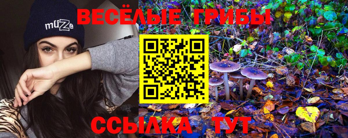 Россия  Галлюциногенные грибы ЛСД  Вход с VPN 