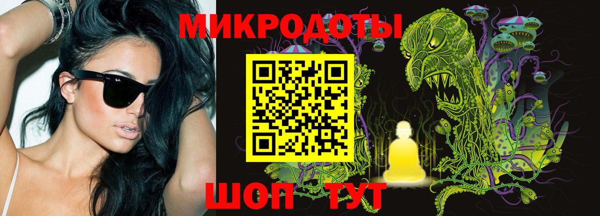 Галлюциногенные грибы Cubensis Россия