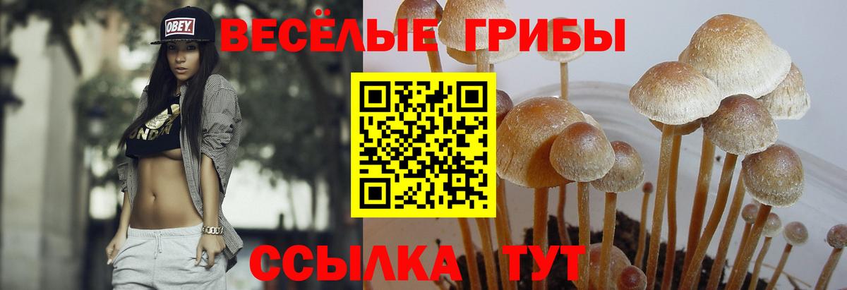 Марихуана  Гашиш  Экстази  МЕТ  Вход с VPN  Меф МЯУ МЯУ   Россия  Кокаин 